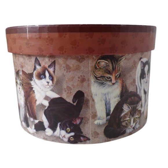 Cat's Cardboard Storage Boxes Set of Four Different Sizes    3260 - Picture 8 of 11